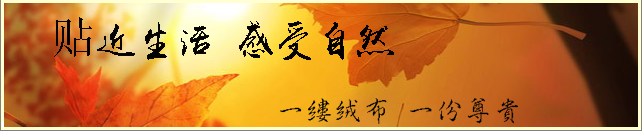 植絨布廠(chǎng)家